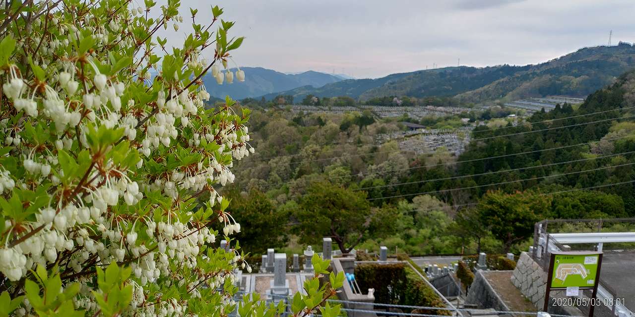 8区5番墓所から園内風景？？