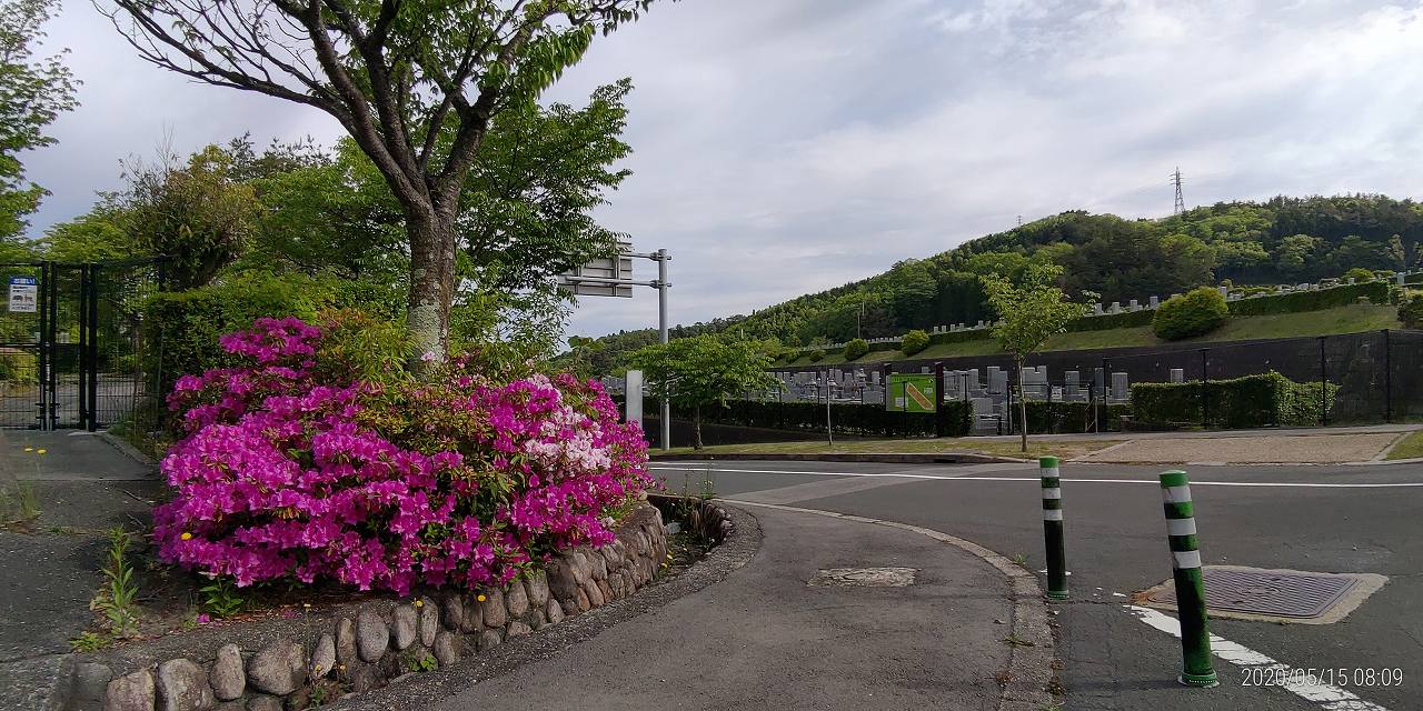 3区1番墓所入口（サツキ）風景①