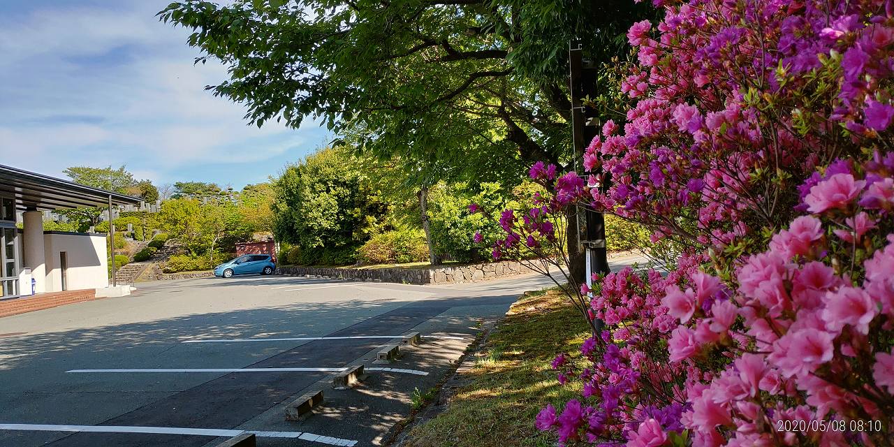 中央休憩所風景②「アザレア」