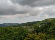 8区4番枝道駐車場から園内風景