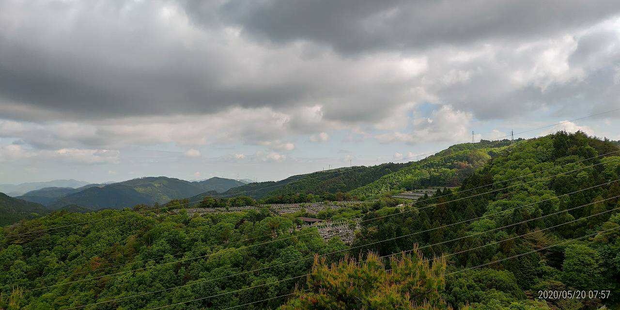 8区4番枝道駐車場から園内風景