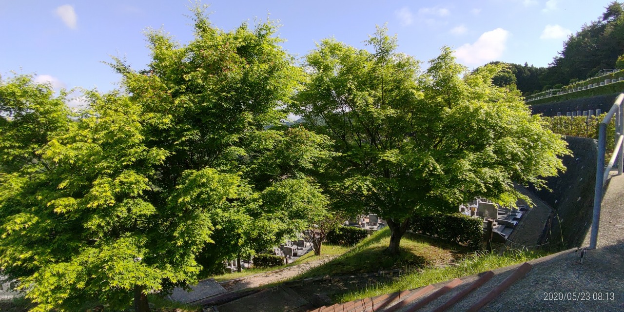 7区7番墓所上段駐車場から風景