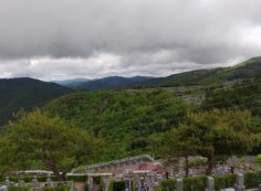 8区4番枝道駐車場から園内風景