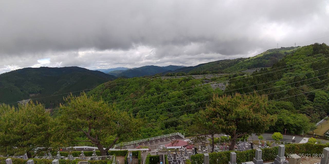 8区4番枝道駐車場から園内風景