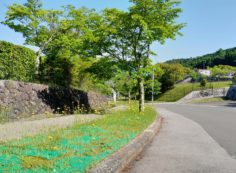 マス通り・2区墓所歩道（ブタナ）