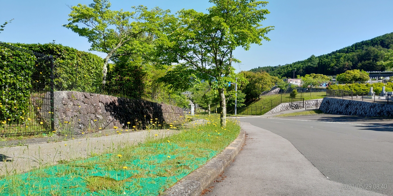 マス通り・2区墓所歩道（ブタナ）