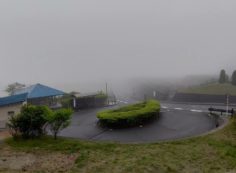 北入口から園内風景