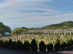 11区2番芝生墓所から園内風景