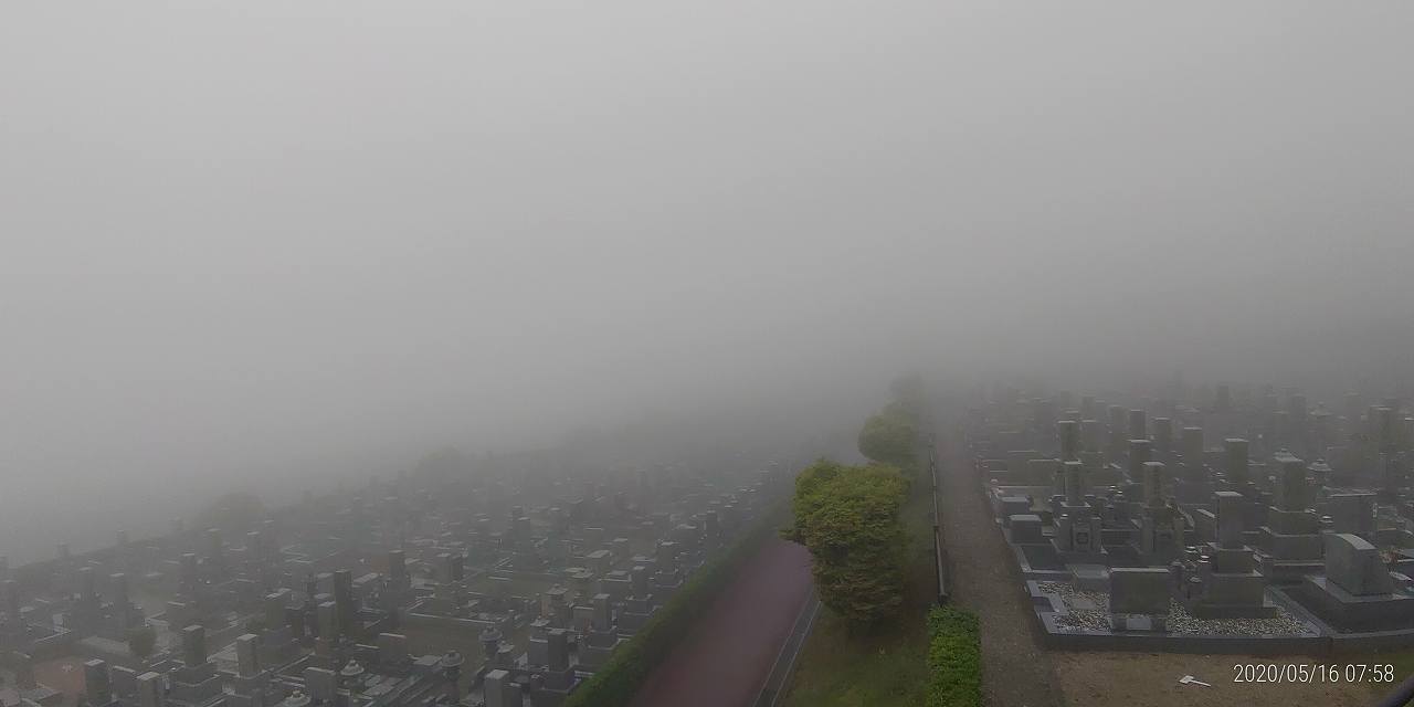 11区7番墓所から園内（北）風景