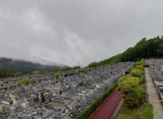 11区7番墓所から園内（北）風景