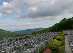 11区7番墓所から園内（北）風景