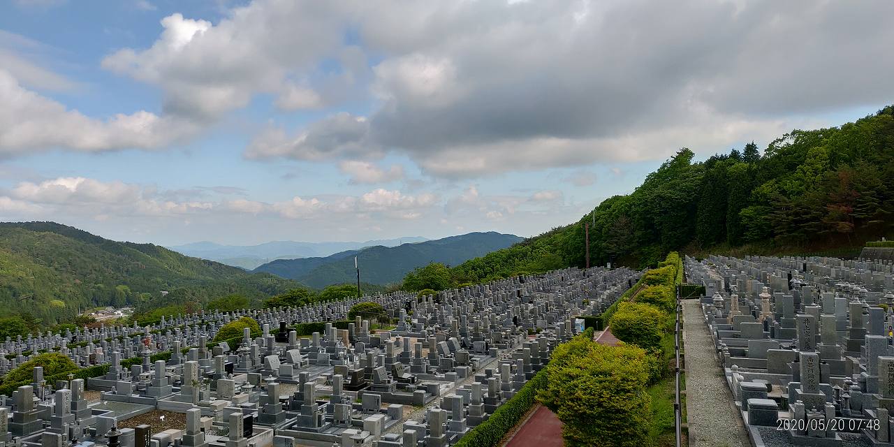 11区7番墓所から園内（北）風景