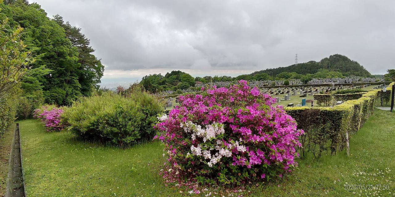 1区1番芝生墓所から（1区墓所）風景