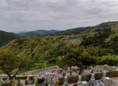 8区45番枝道駐車場から園内風景