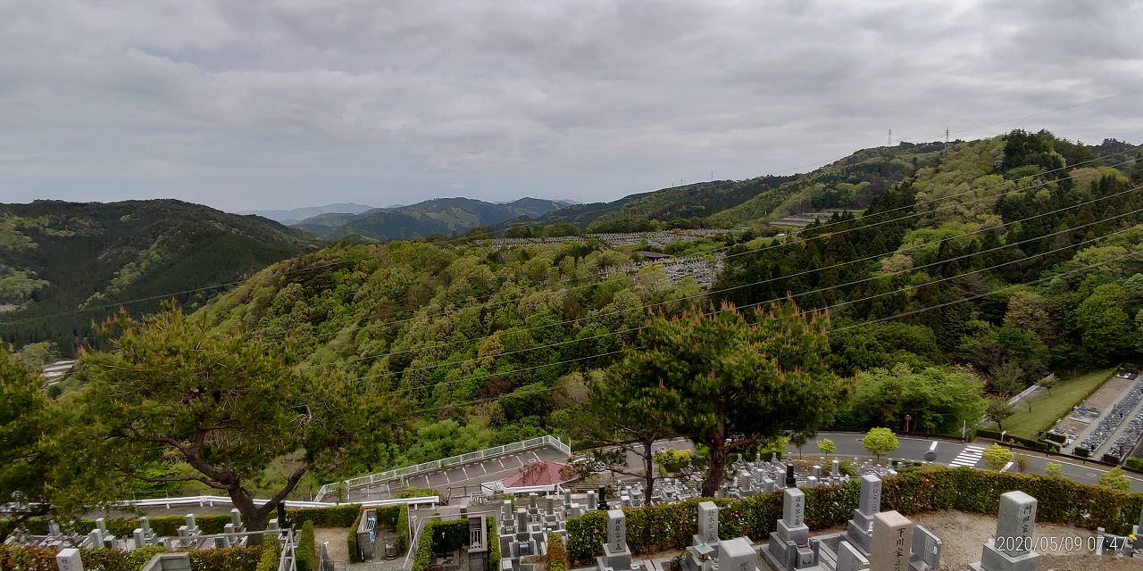 8区45番枝道駐車場から園内風景