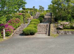 令和2年5月13日　赤口　水曜日