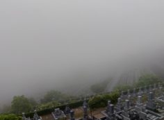 7区3番上段駐車場から階段墓域風景（濃霧）