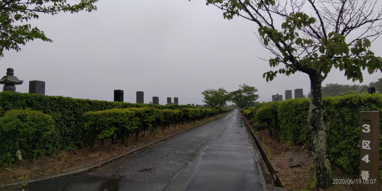 3区3/4墓所枝道風景