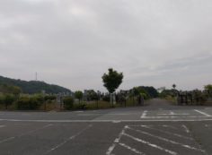 11区7番墓所から園内（東）風景