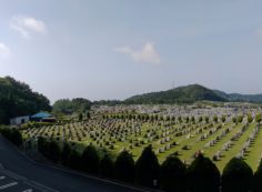 11区2番芝生墓所から園内（南）風景