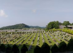 11区2番芝生墓所から園内（南西）風景