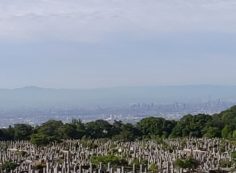 11区1番墓所から園内（拡大）風景