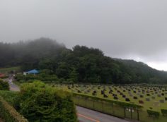 園内・1区1/2番芝生墓所風景