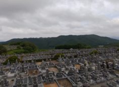 11区7番墓所から園内（西）風景