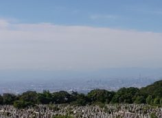 大阪市内風景