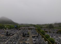 11区7番墓所から園内（南西）風景