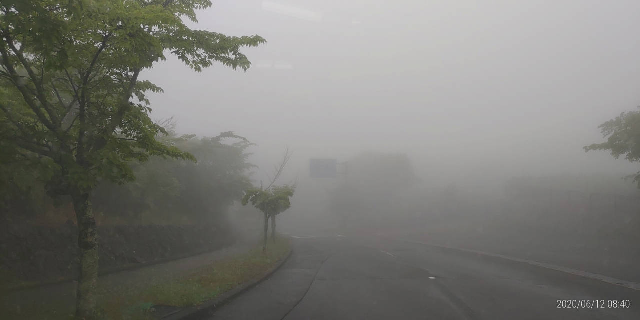 バス通り・2区2番墓所歩道から風景