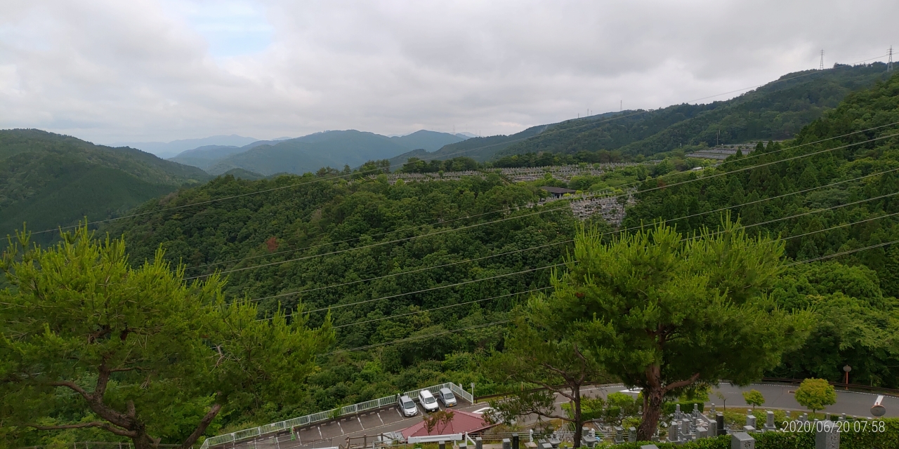 8区4番枝道駐車場から園内風景