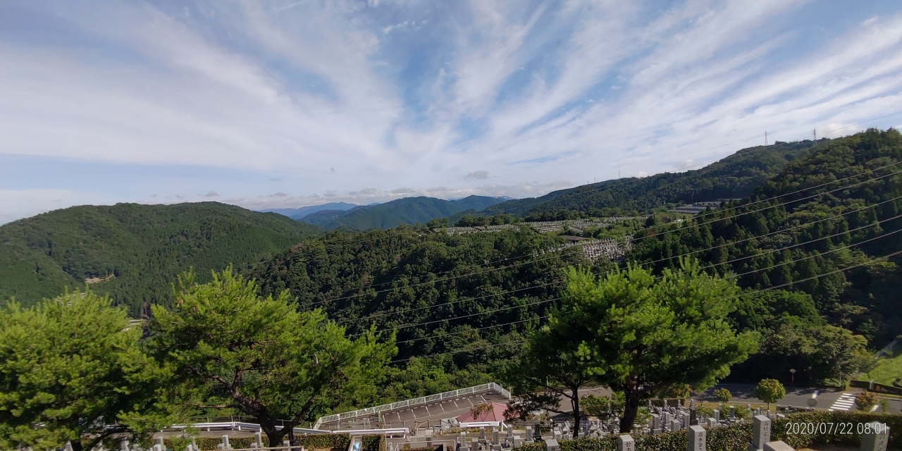 8区4番枝道駐車場から園内風景