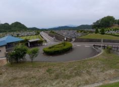 北入口から園内風景（土手に穴が？）