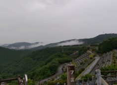 7区3番上段駐車場から階段墓域風景