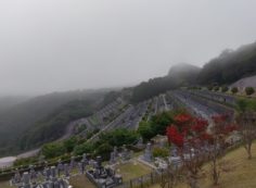 7区3番上段駐車場から階段墓域風景