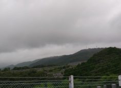 8区4番枝道から園内風景