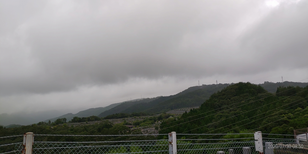 8区4番枝道から園内風景