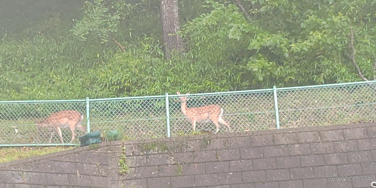 11区2番芝生墓所から①拡大