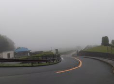 霊園北入口から園内風景