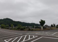 11区7番墓所から園内（東）風景