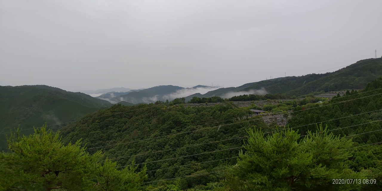 8区4番枝道駐車場から園内風景