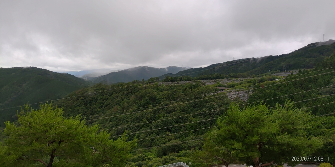 8区4番枝道駐車場から園内風景