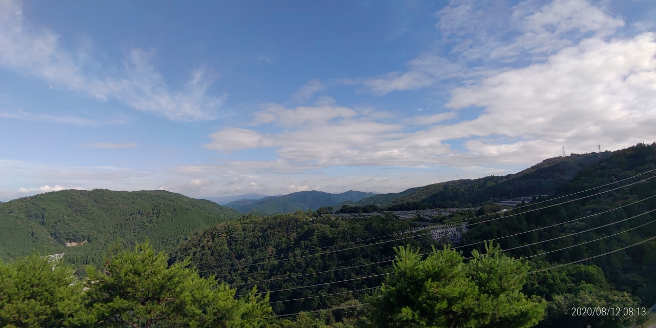 8区4番枝道駐車場から園内風景