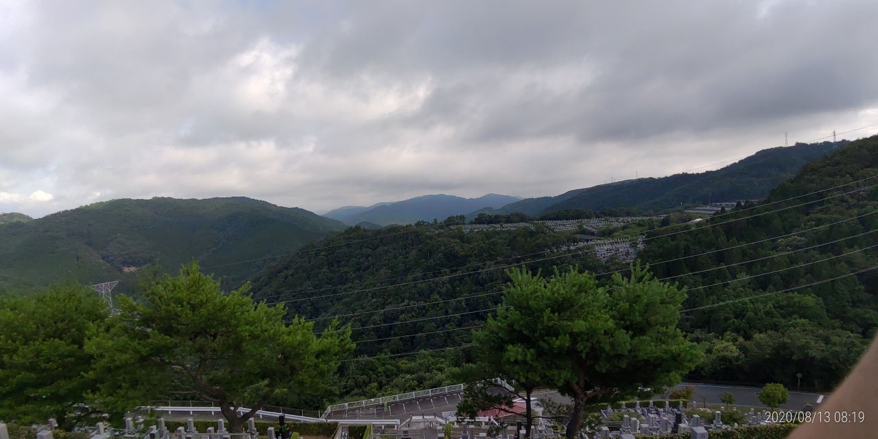 8区4番枝道から園内風景