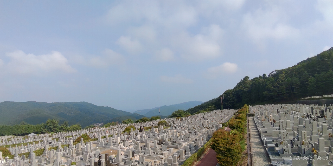 11区7番墓所から園内（北）風景