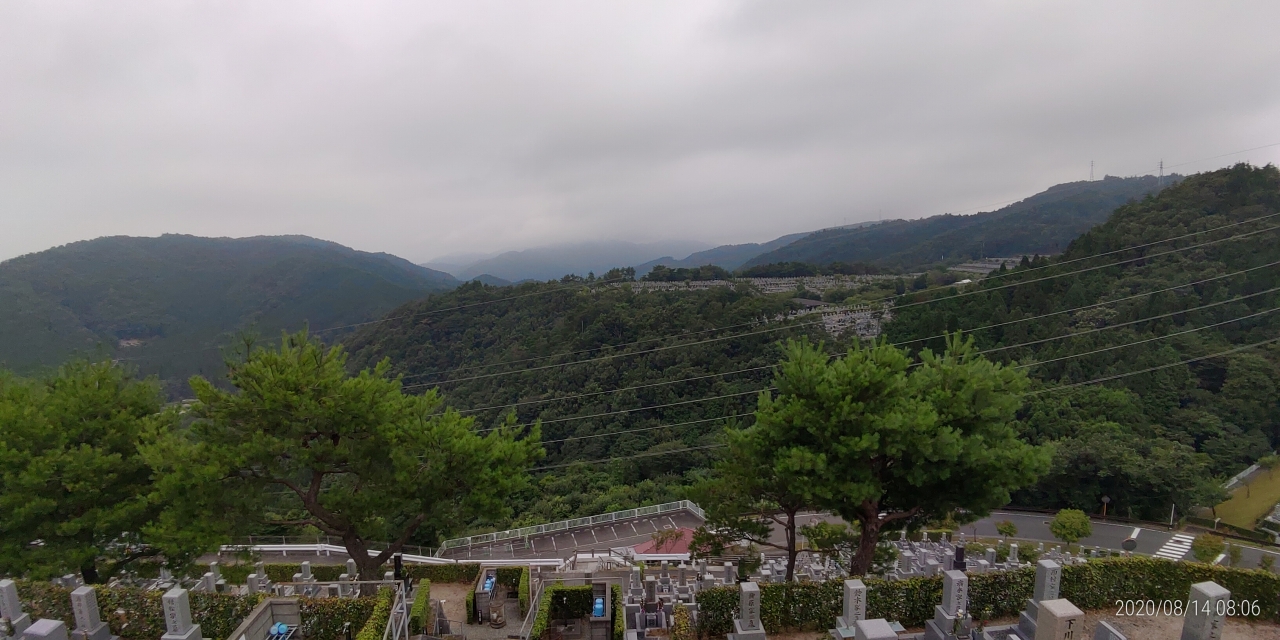 8区4番枝道駐車場から園内風景