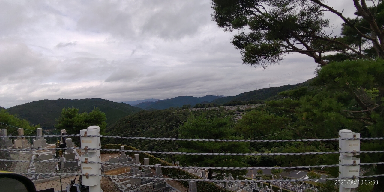 8区4番枝道から園内（北）風景