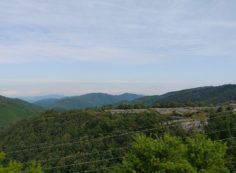 8区4番枝道駐車場から園内風景