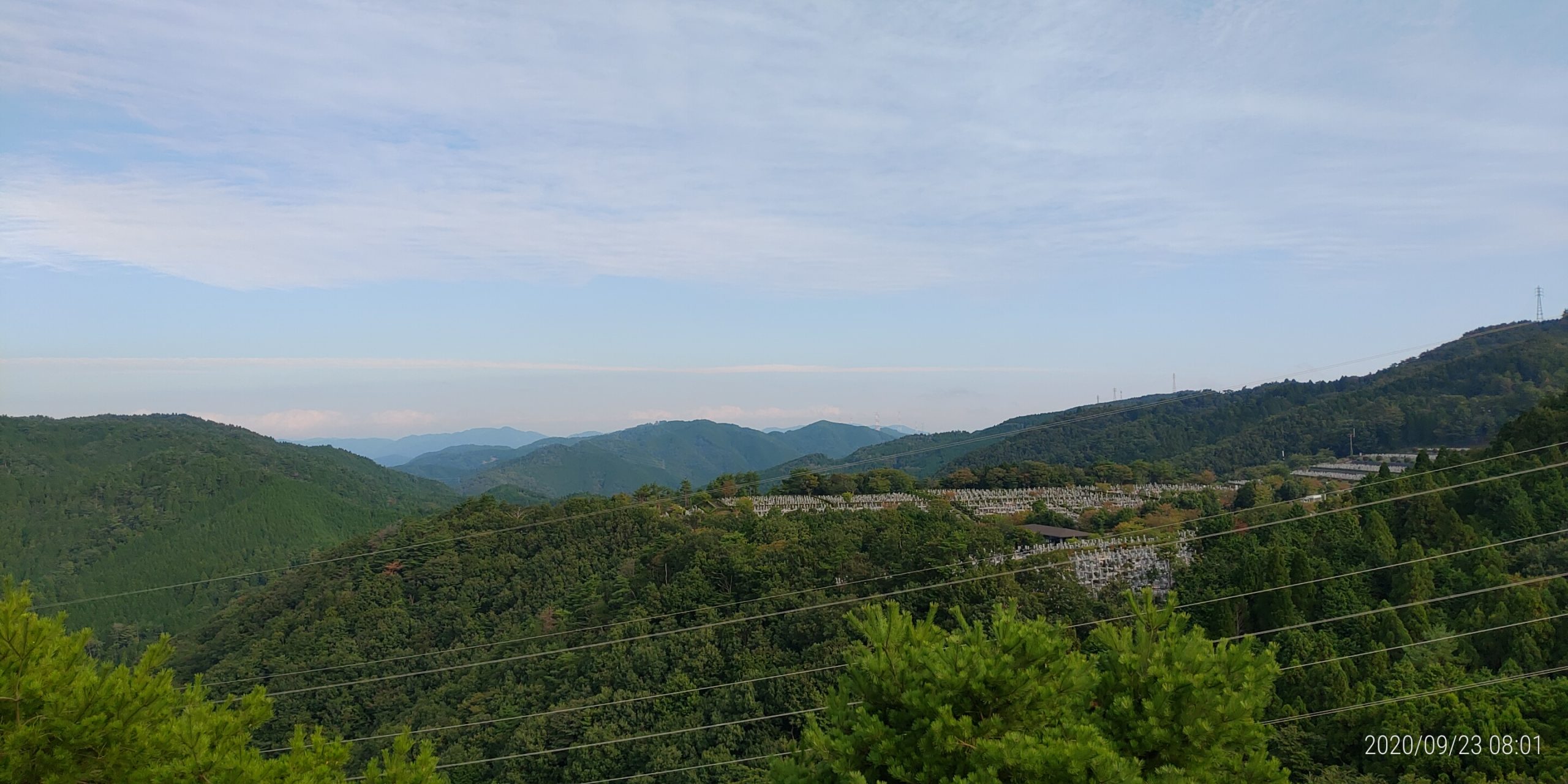 8区4番枝道駐車場から園内風景